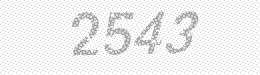 Visual security code — type the characters shown in the image