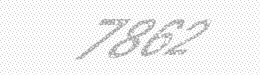 Visual security code — type the characters shown in the image